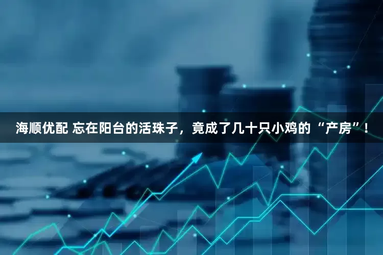 海顺优配 忘在阳台的活珠子，竟成了几十只小鸡的 “产房”！
