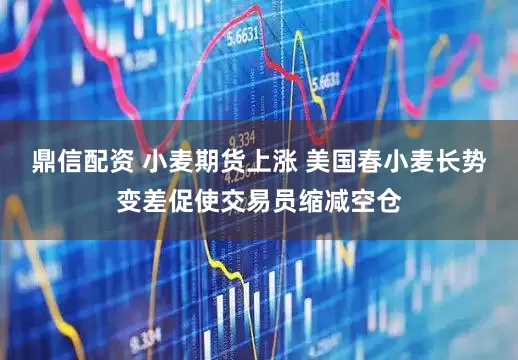 鼎信配资 小麦期货上涨 美国春小麦长势变差促使交易员缩减空仓
