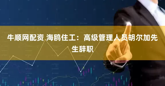 牛顺网配资 海鸥住工：高级管理人员胡尔加先生辞职